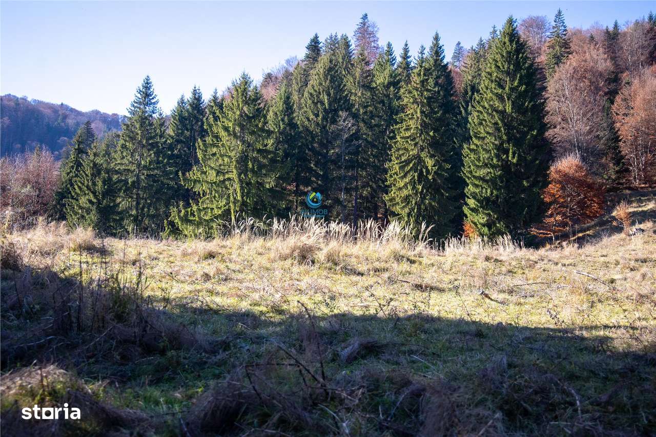 Teren de Vis langa Siriu  – 20000 mp ideal pentru Complex turistic Com-13