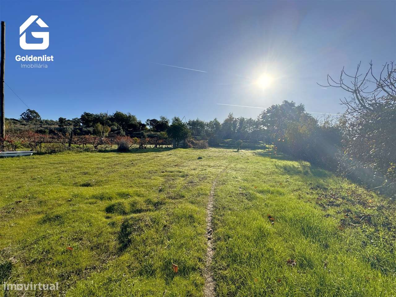 Quinta T3 Venda em Escalos de Cima e Lousa,Castelo Branco-44