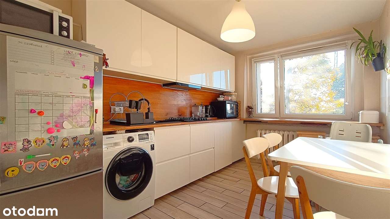 Duże dwupokojowe mieszkanie w ustronnym miejscu!-10