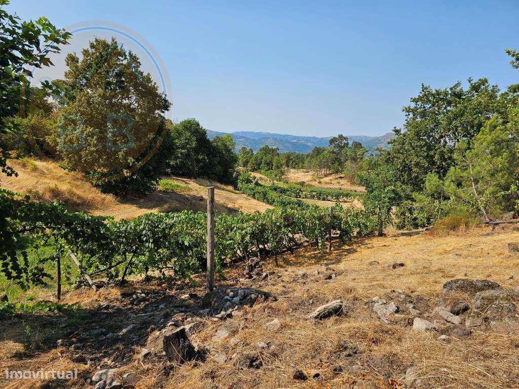 Quinta com Moradia T4 em Leiradas, Rio Douro - Cabeceiras de Basto-56