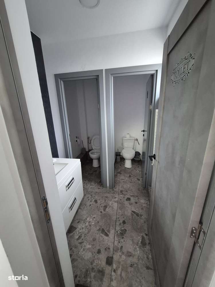 Vila pe strada Maramures pentru birouri, cabinete-9