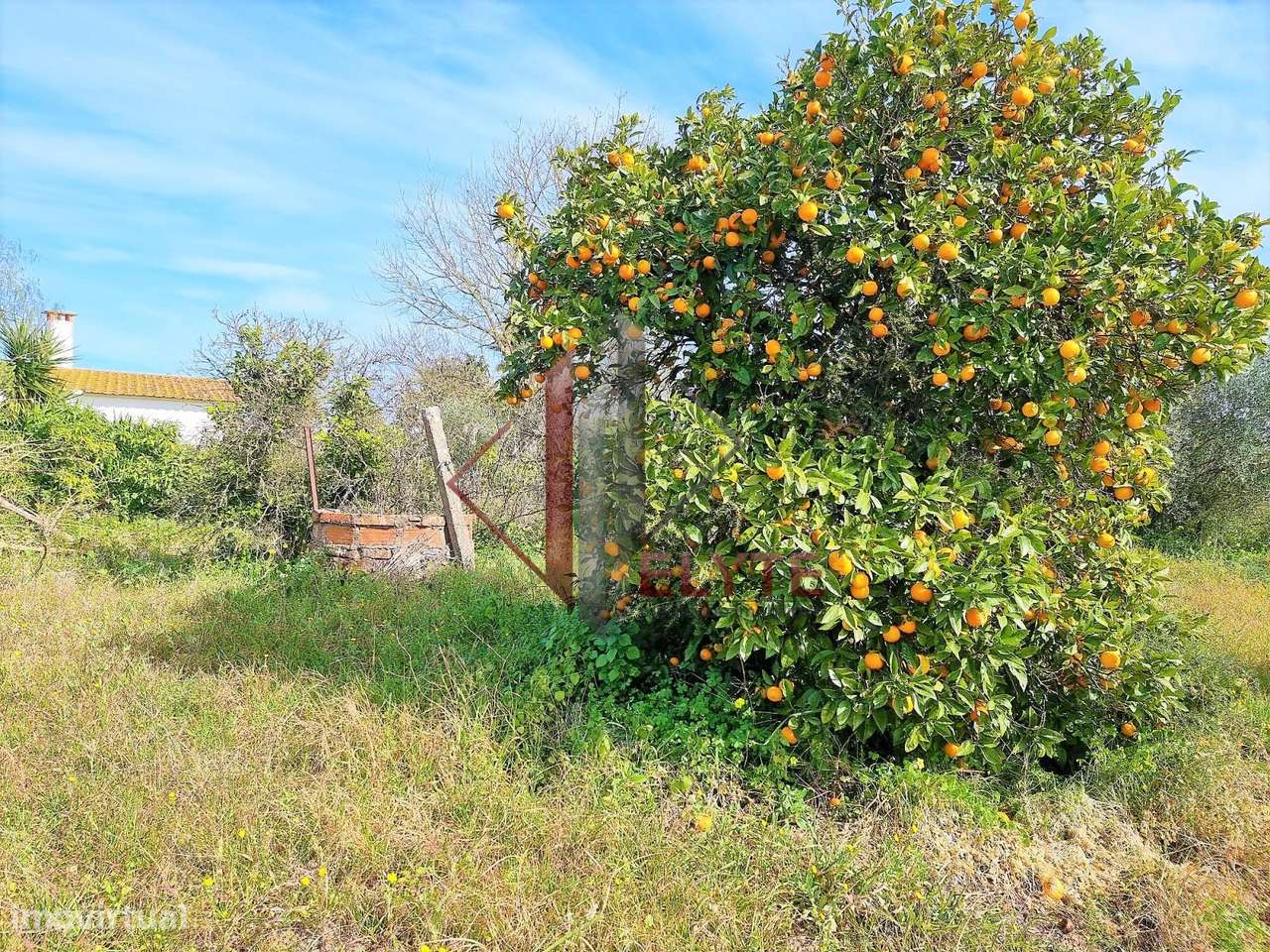 Terreno com moradia em ruinas - Grande imagem: 5/9