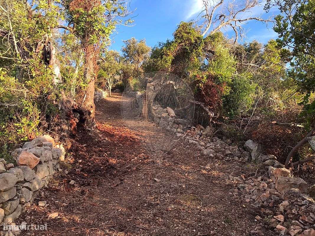 Terreno  para venda-7