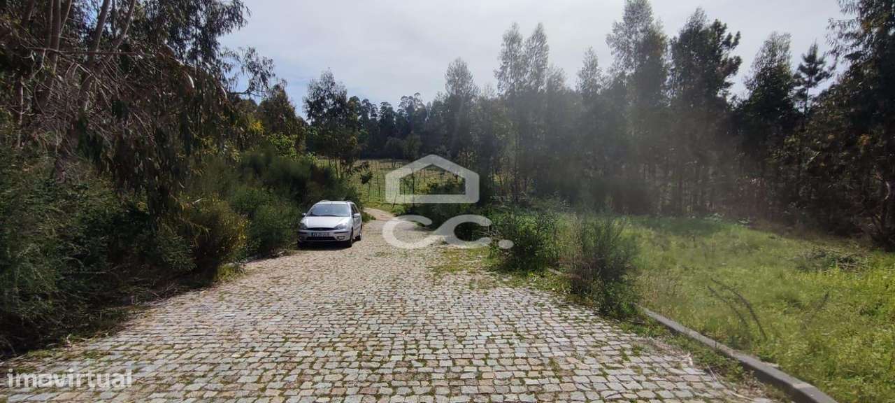 Terreno Para Construção, Baltar, Paredes - Grande imagem: 3/12