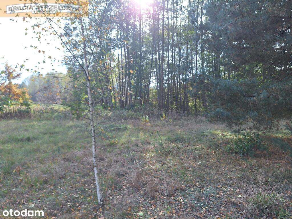 Stare Polesie działka budowlana 50 km od Warszawy. - Pełny obrazek: 5/9