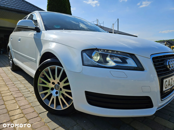 Audi A3 1.6 Prime Line - 2