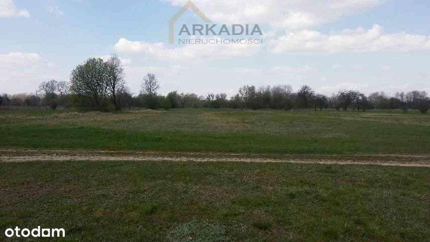 Duża działka siedliskowa w dobrej cenie-2