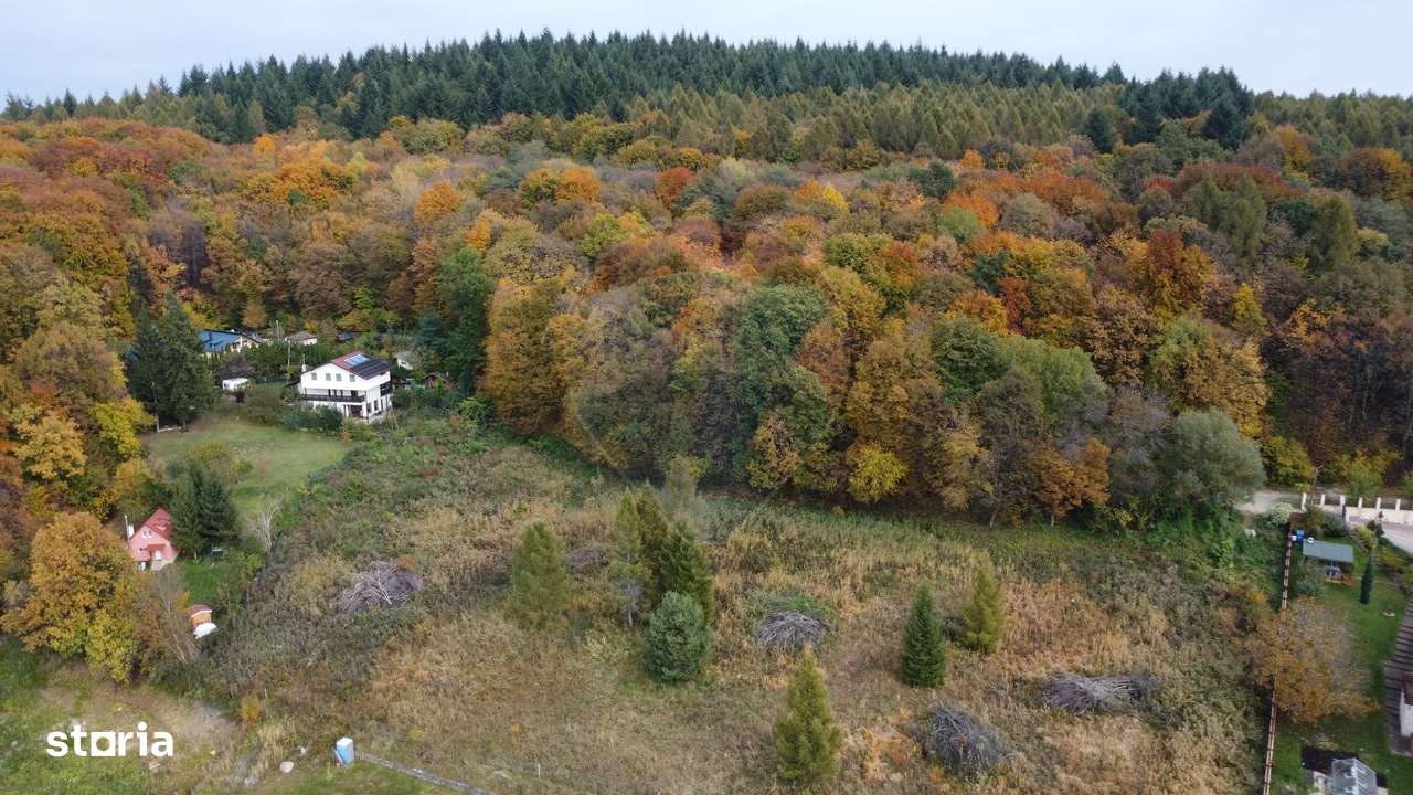 Teren de vanzare în Faget 1542 mp cu panorama-18