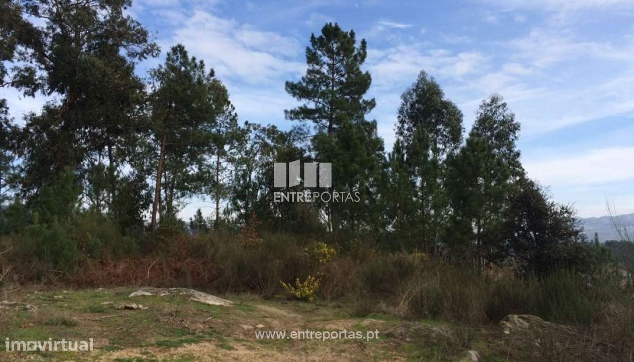 Venda Terreno c/ espigueiro em pedra para reconstruir, Abragão, Penaf - Grande imagem: 5/11