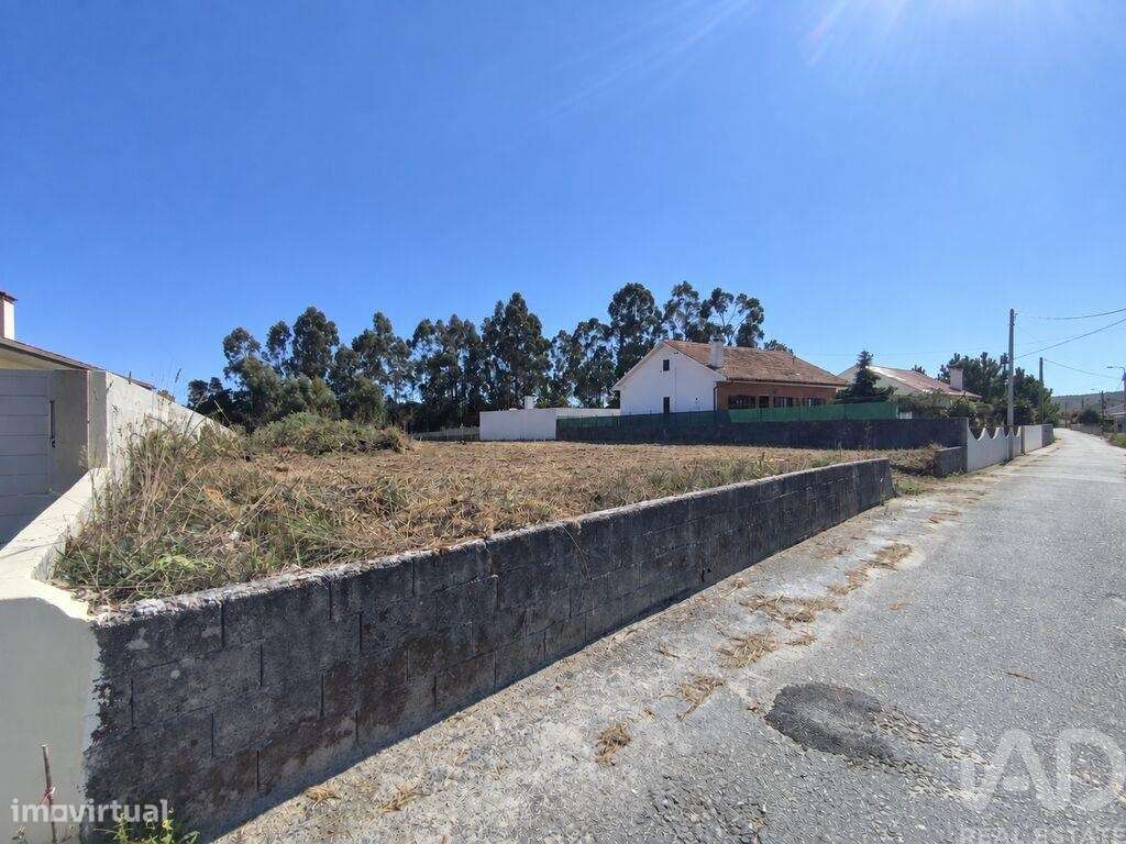 Terreno em Alvarães - Vista 2