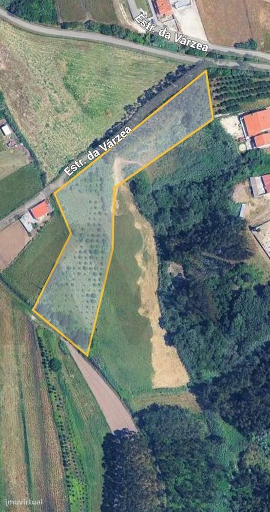 Terreno à venda em Valado dos Frades – Estrada das Várzeas - Grande imagem: 4/15