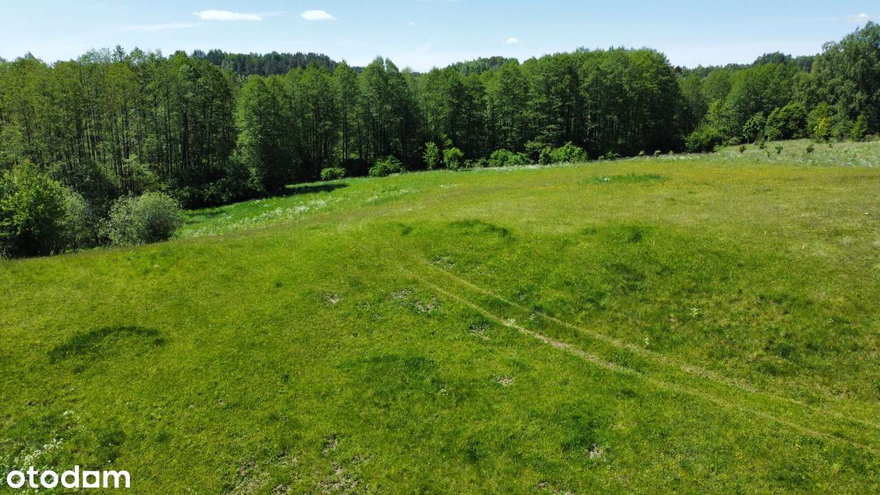 Okuniowiec - działka z warunkami zabudowy - 30 zł/m2 - Pełny obrazek: 3/8