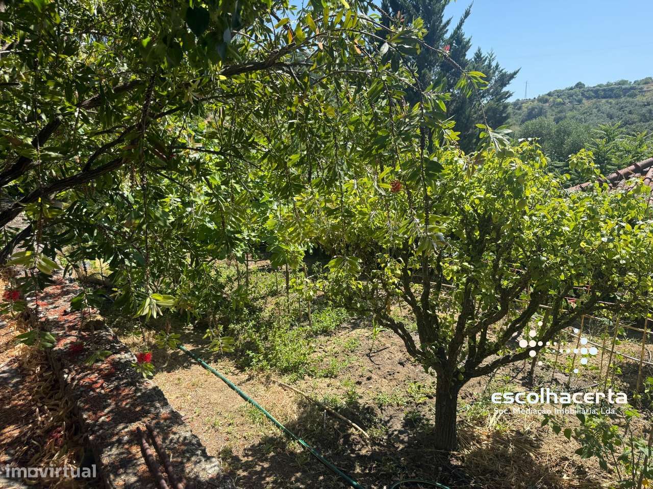 Quinta unica em pleno coração da Arrabida-44
