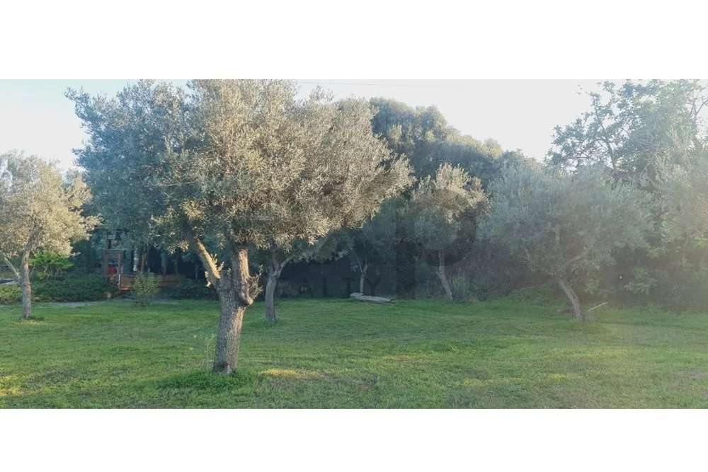 Terreno construtível com ruína e com um projeto aprovado - Grande imagem: 5/13