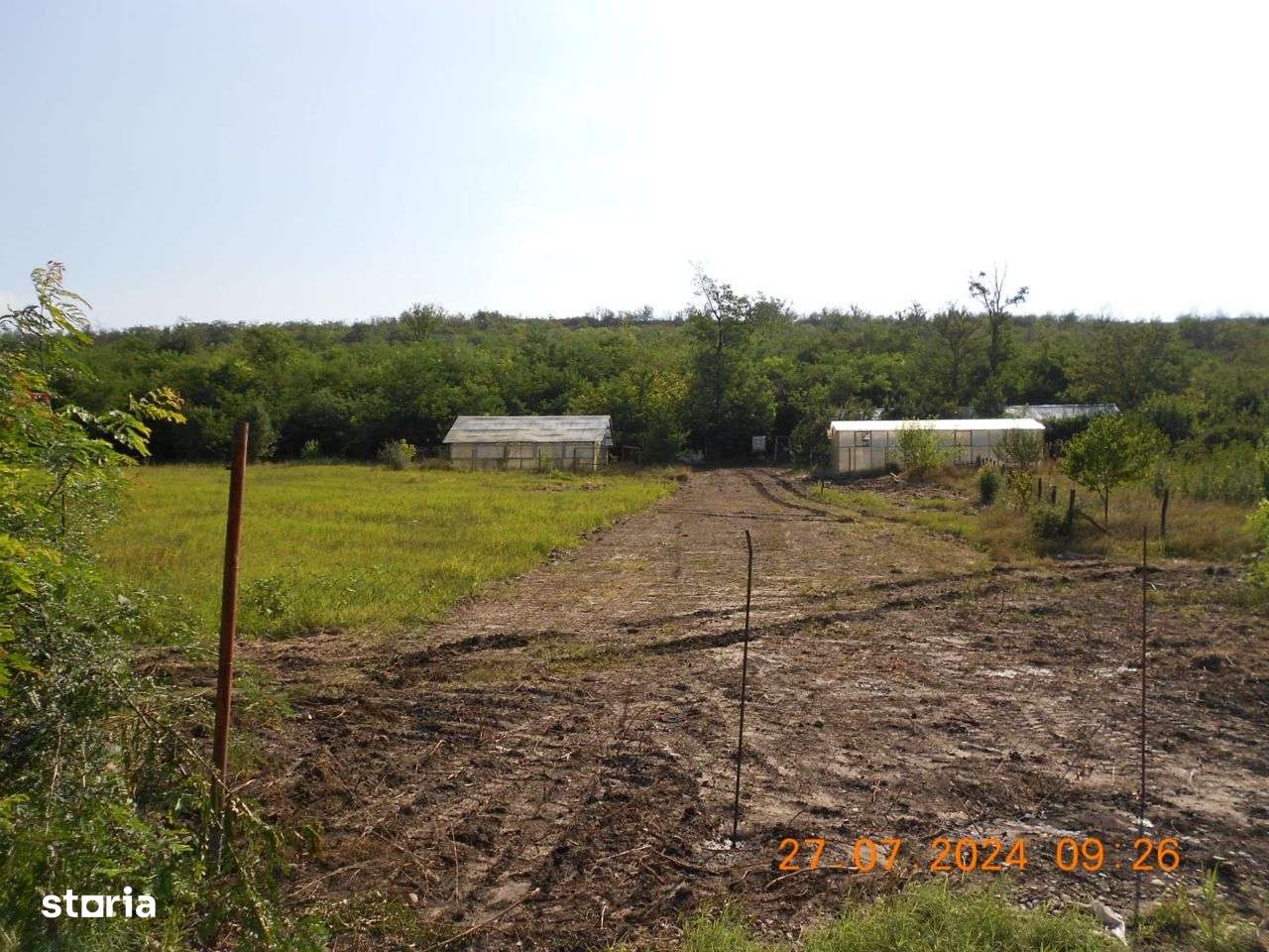 Teren  400 mp -2600 mp Vaslui mal lac Delea vedere superba 40 euro - Imagine principală: 4/8