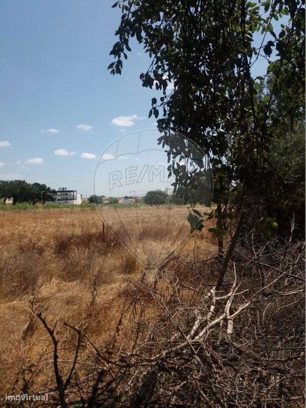 Terreno  para venda - Grande imagem: 2/5