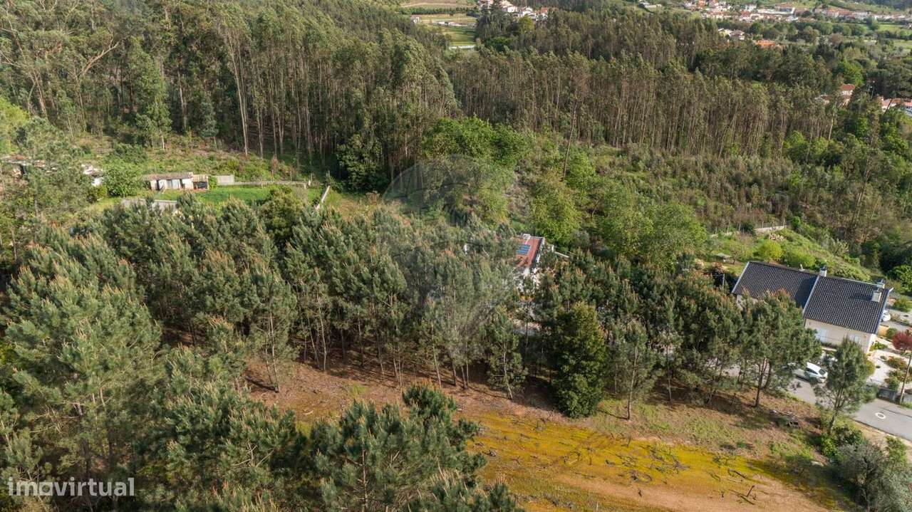 Terreno  para venda - Grande imagem: 4/8