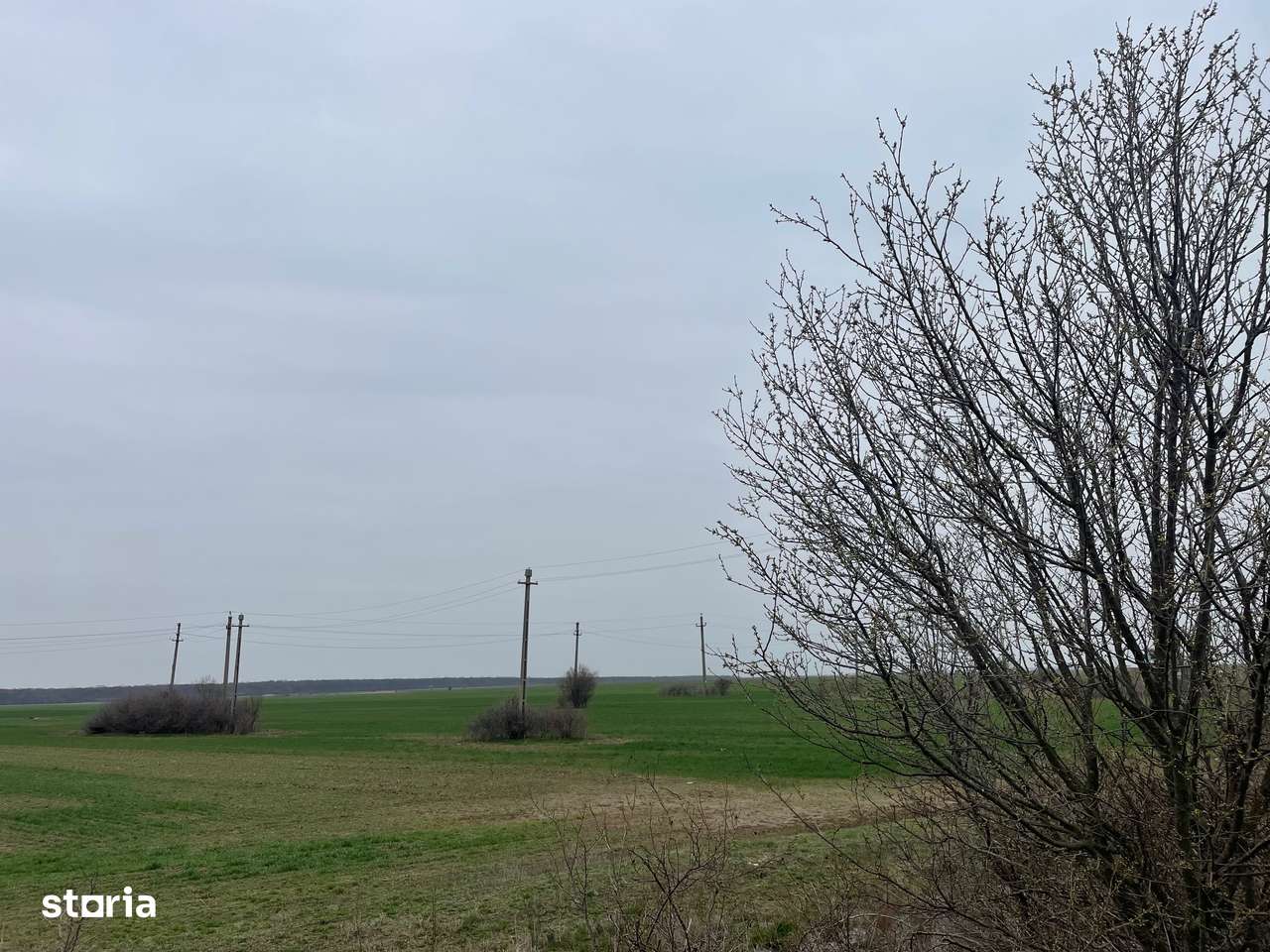 Giurgiu-Bolintin-Marsa 8.5 HA-2