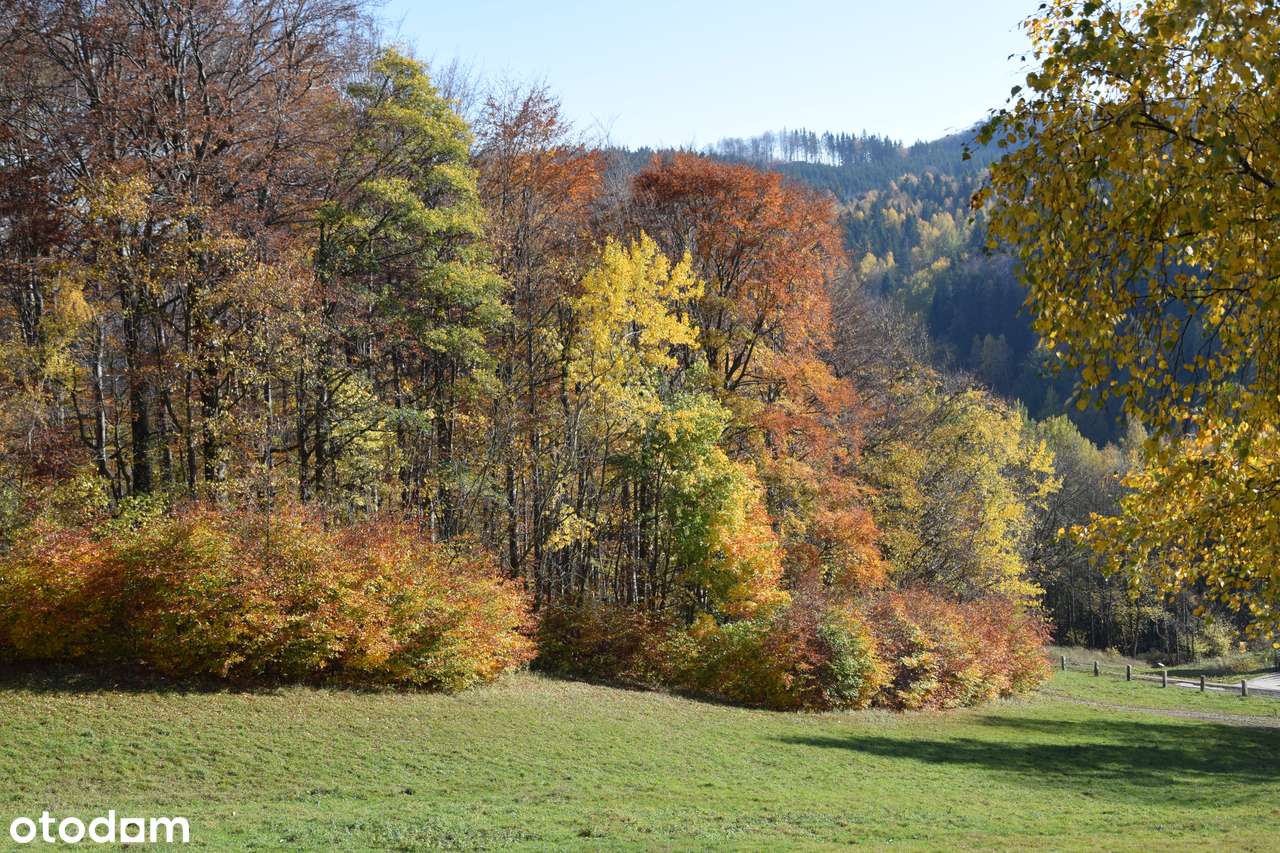 Działka w górach z decyzją o warunkach zabudowy, okolice Karpacza-10