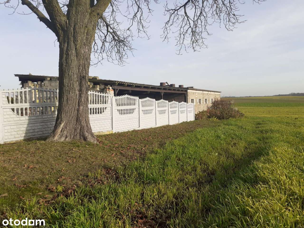 Sprzedam działkę rolną zabudowaną domem i budynkami gospodarczymi - Pełny obrazek: 5/18