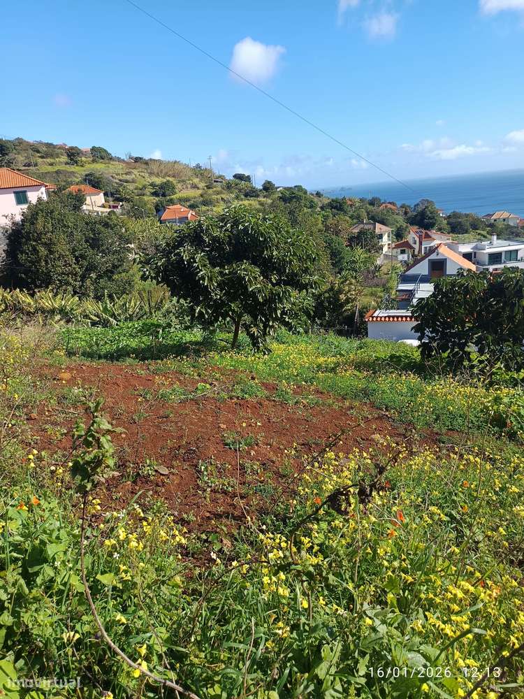 Vista Mar - Grande imagem: 3/14