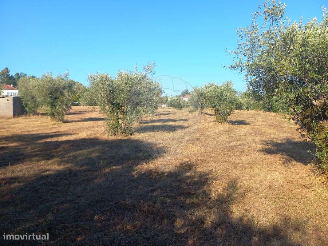 Terreno  para venda - Grande imagem: 3/9