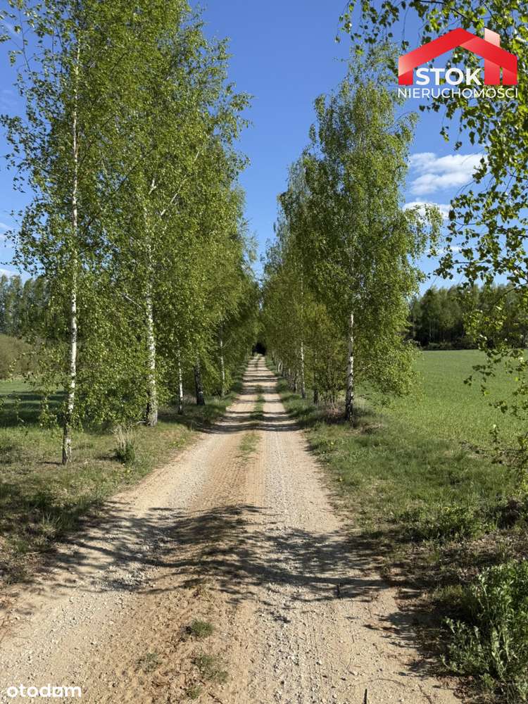 Działki budowlane na Mazurach Garbatych - Pełny obrazek: 5/6