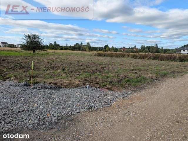 Ciągowice – działka blisko lasu i nowej zabudowy-16