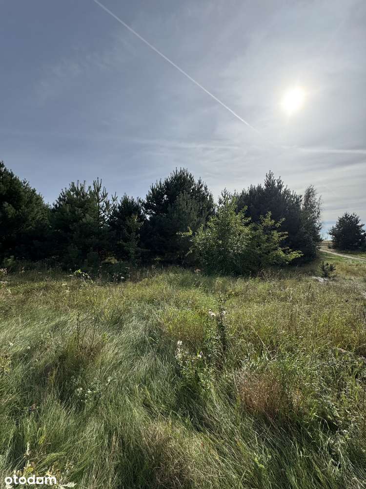 Działka budowlana 1000 m² blisko jeziora, z mediami i drogą utwardzoną - Pełny obrazek: 5/9