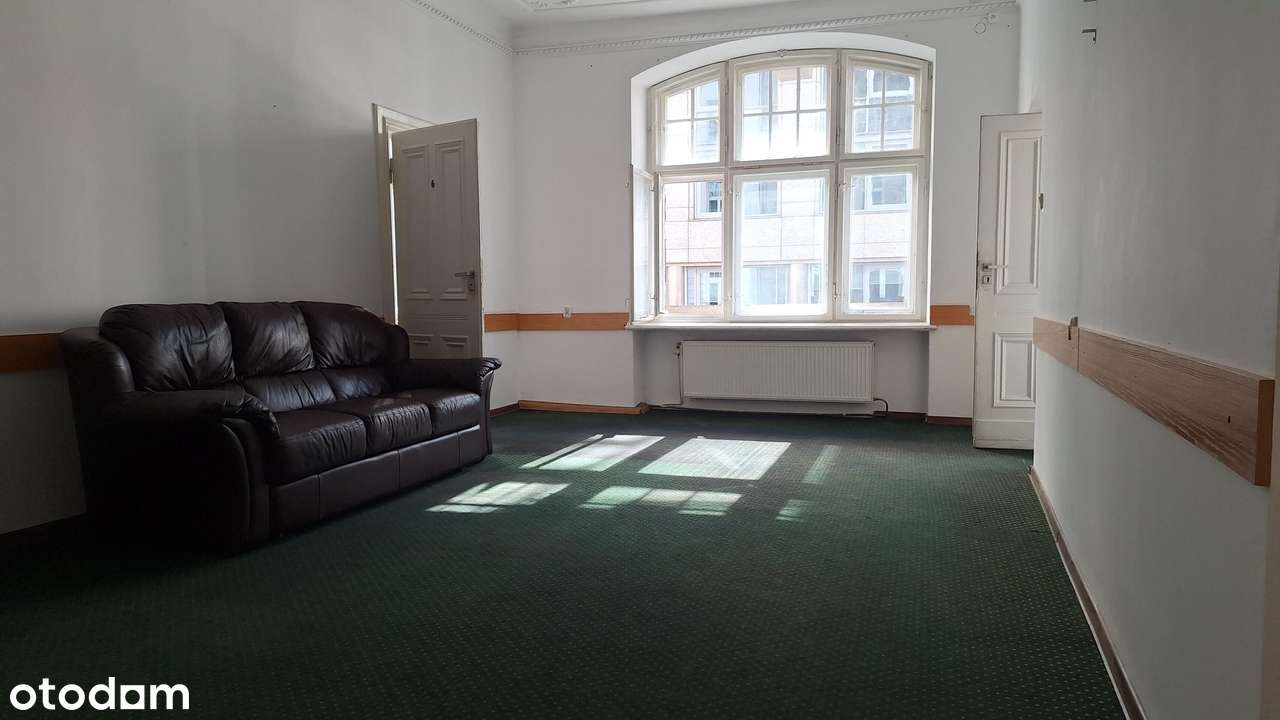 Lokal 173m2, 8 pokoi, kaminica, Warszawa Śródmieście, Lwowska - Pełny obrazek: 3/18