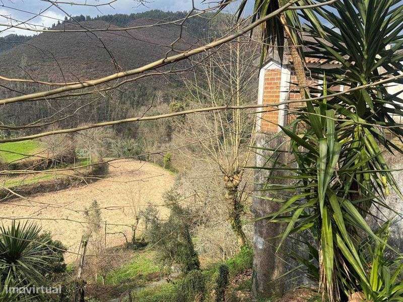 Quinta com habitação no Gerês (na vila de Terras de Bouro) - Grande imagem: 4/4