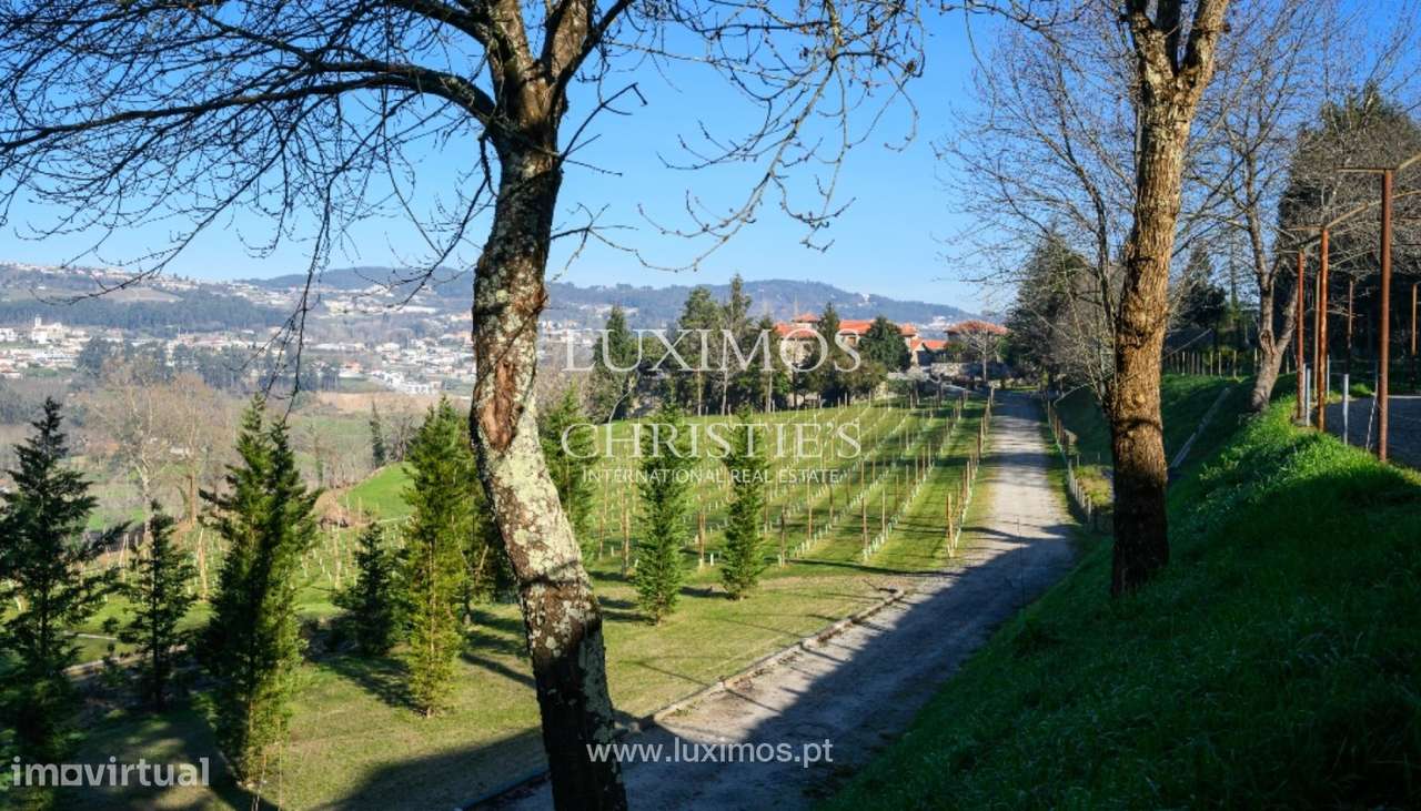 Quinta Vinícola V7 para venda em Felgueiras, Norte de Portugal - Grande imagem: 4/43