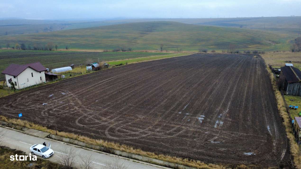 Teren 8.400 mp Negresti – ideal gospodarie, ferma, natura si liniste - Imagine principală: 3/9