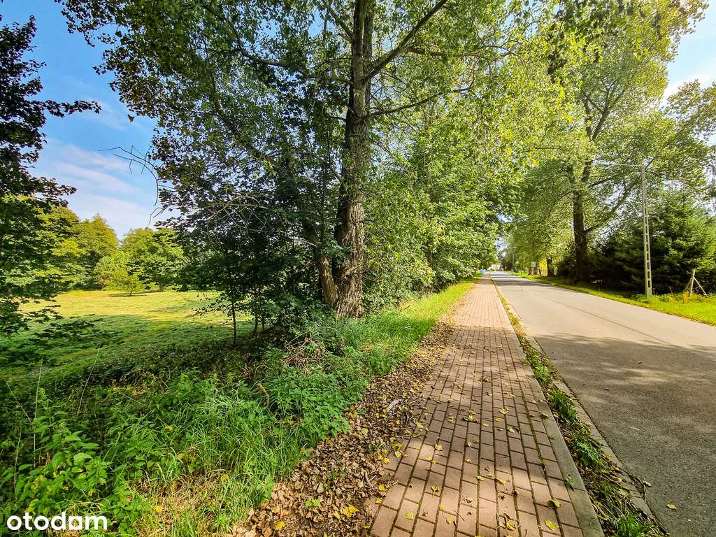 Działka w super lokalizacji - Stary Wielisław-13