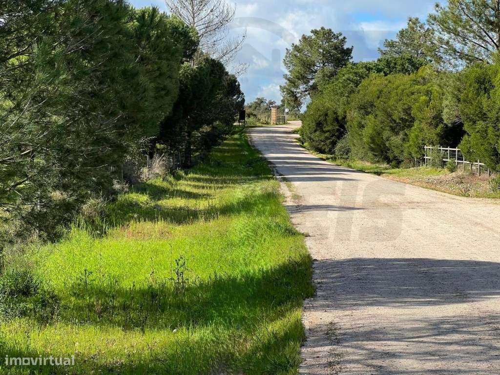 Terreno - Mata do Duque I - 300.000€ - Grande imagem: 5/20