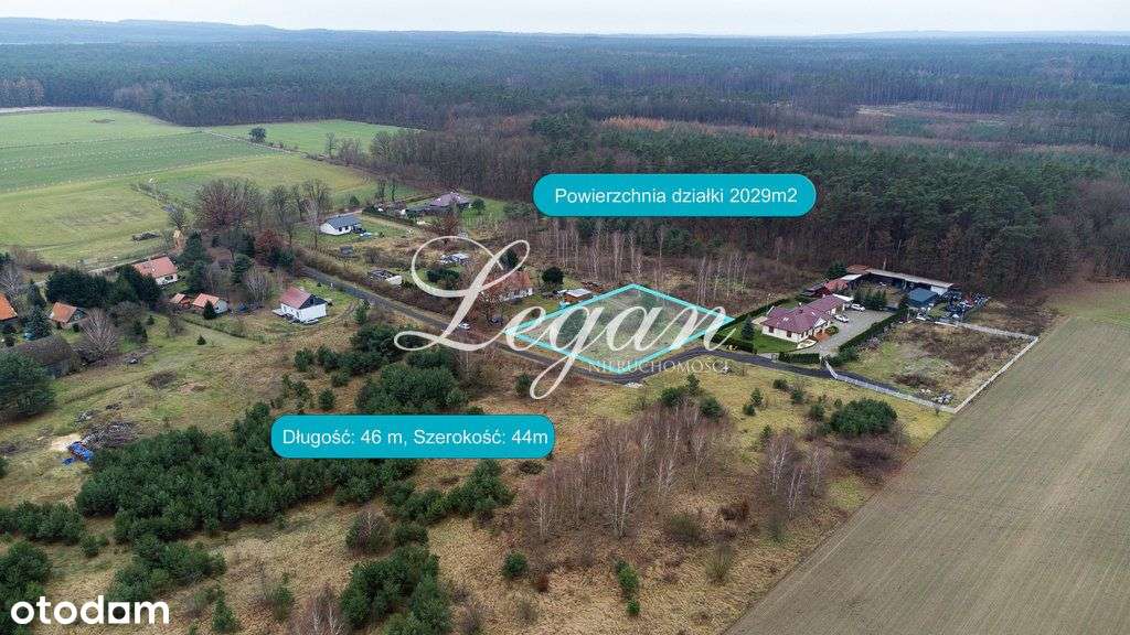 Działka Przy ścianie Lasu - Wysoka - Pełny obrazek: 4/5