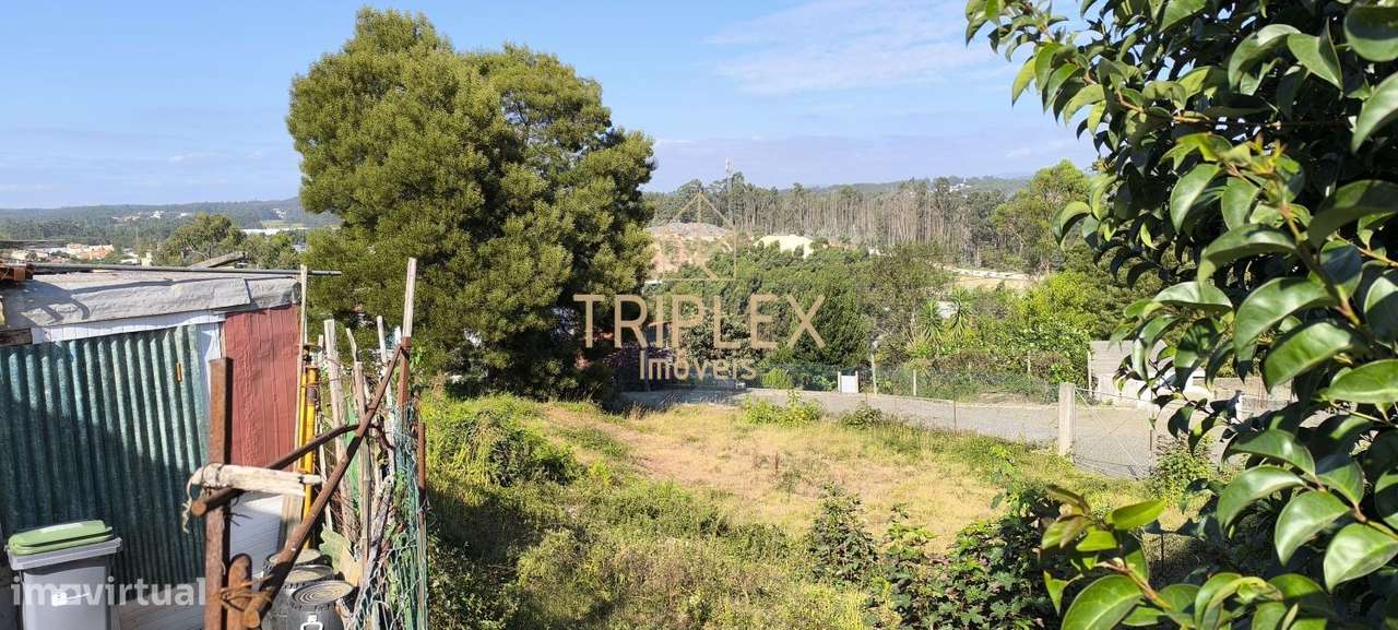 Casa com 3 inquilinos e Terreno -  Monte Sta Cruz-7