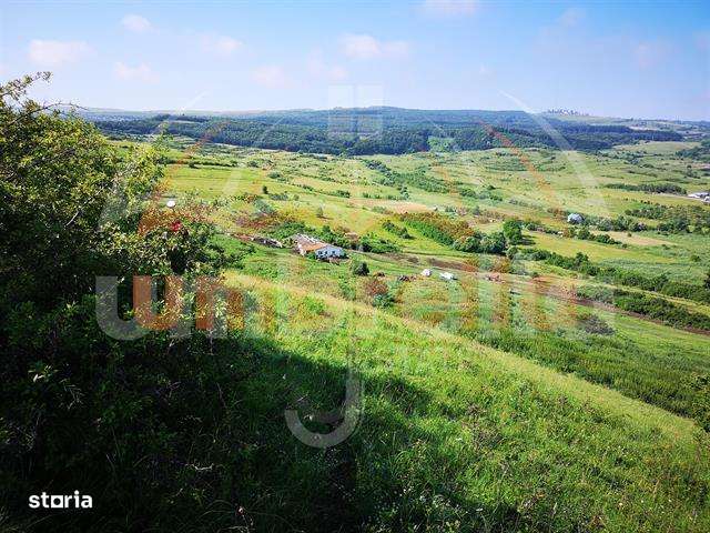 Teren de vanzare intravilan  in Cluj-Napoca, Strada Soporului 11.594m² - Imagine principală: 3/9