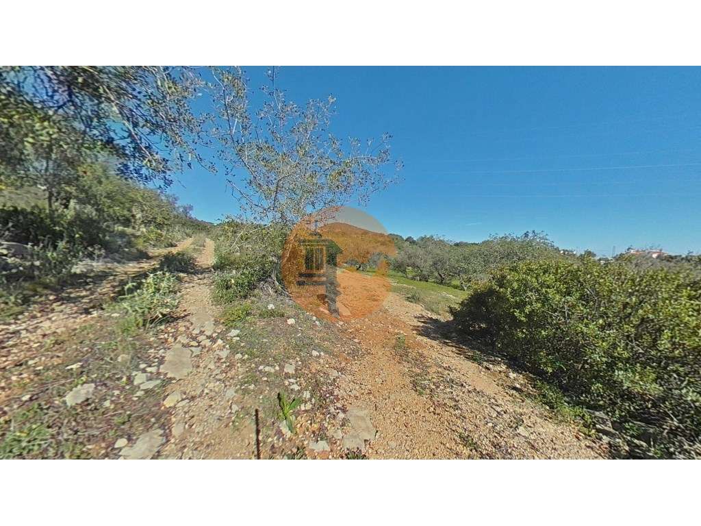 Terreno Rústico - Grande imagem: 5/34