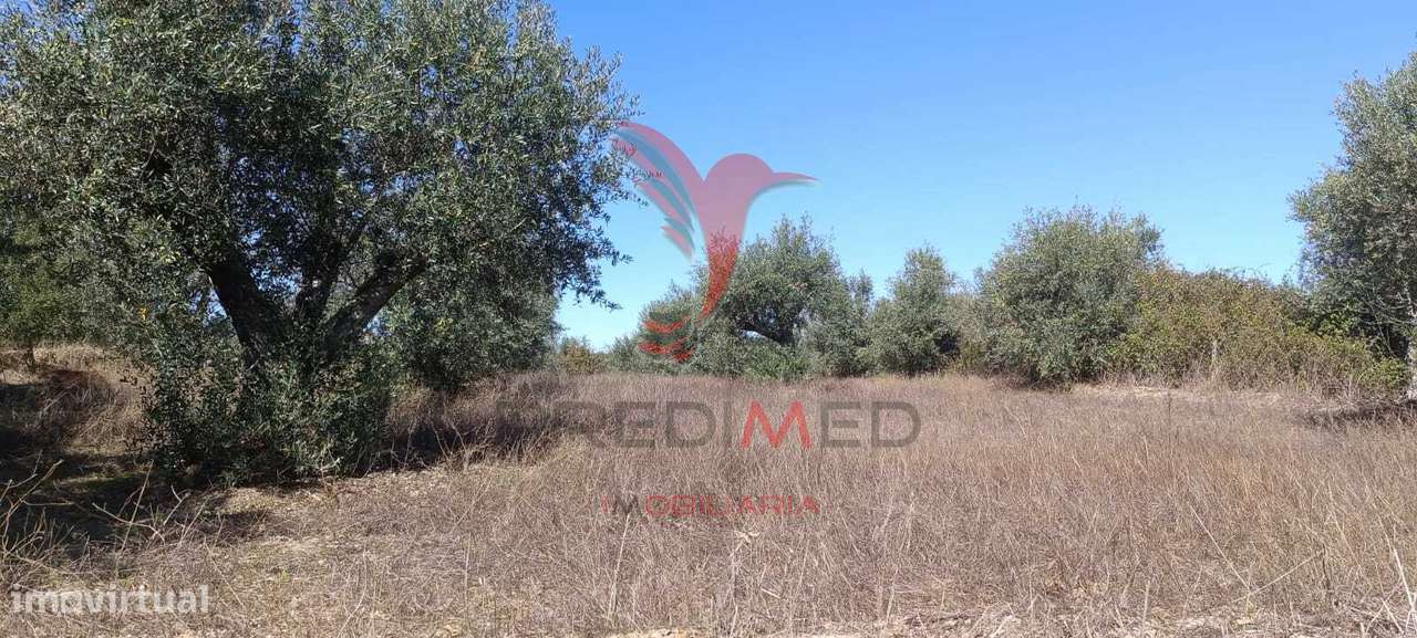 Terreno rústico em Cabeço de Arez - Nisa - Grande imagem: 3/4
