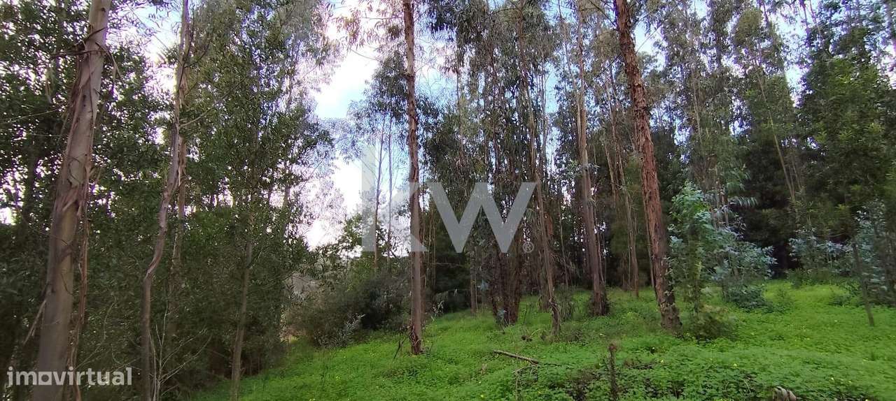 Terreno 1360 m2 – Potencial Estratégico na Zona Norte de Coimbra - Grande imagem: 5/12