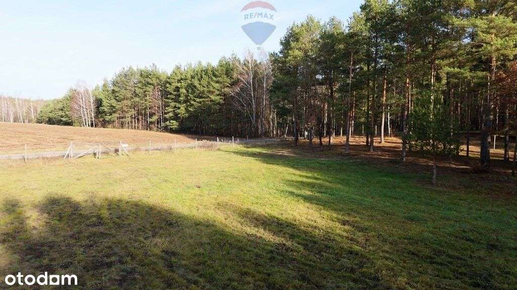 Działka, 7 770 m², Prabuty - Pełny obrazek: 4/5