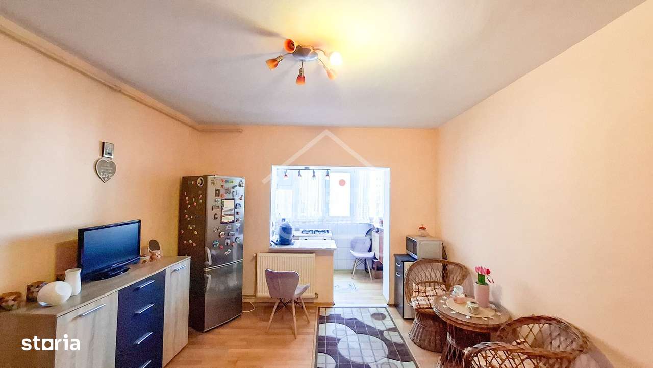 Suprafata Generoasa I Zona Garii-5