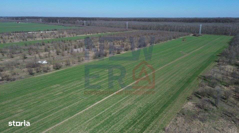 Teren de vanzare, Sabareni - Imagine principală: 2/7