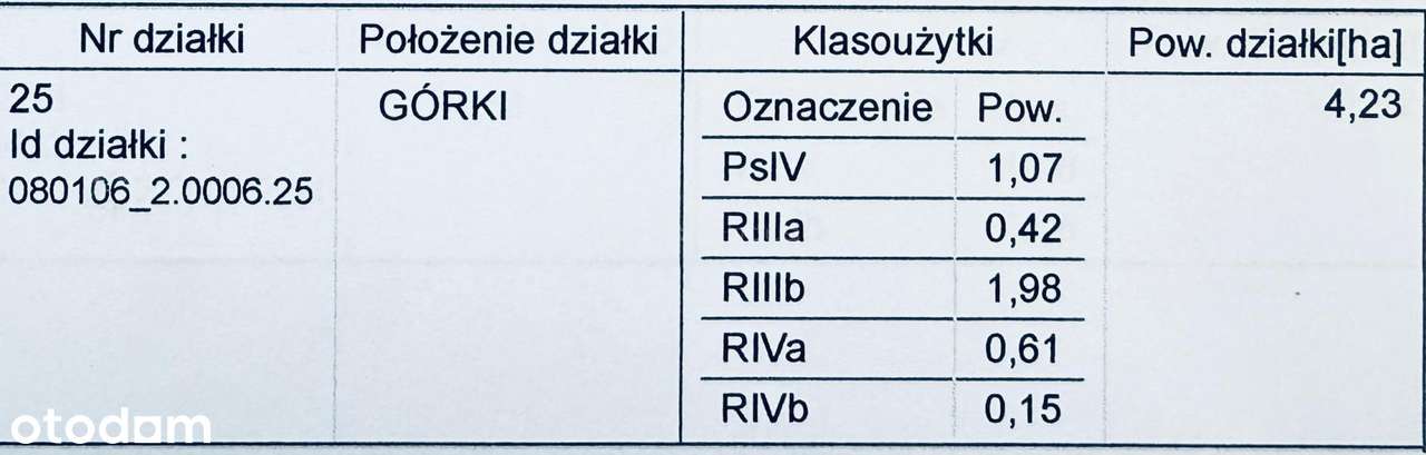 Ziemia rolna 6,15 ha w gm. Santok - Pełny obrazek: 5/6