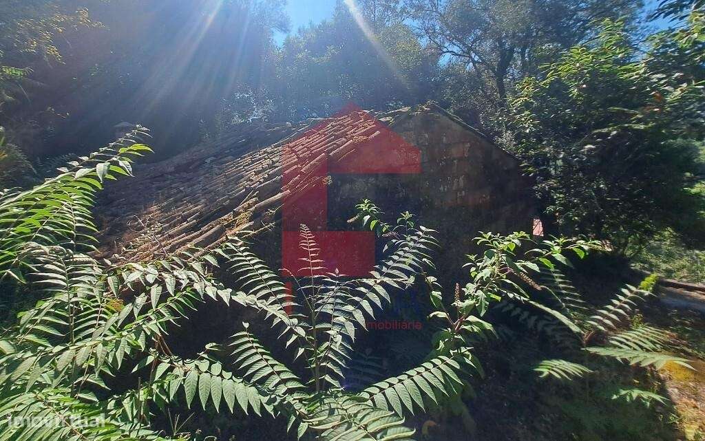 Moradia para restauro - Grande imagem: 4/14