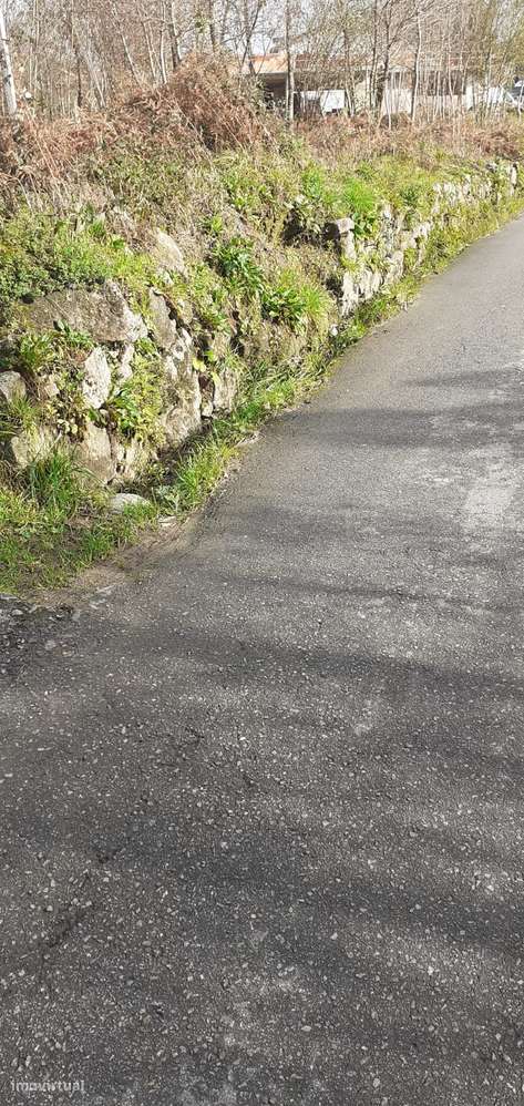 Terreno em Lobão-16