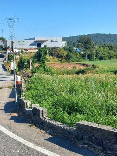Terreno rústico com viabilidade construtiva em Escariz, Arouca - Grande imagem: 4/4