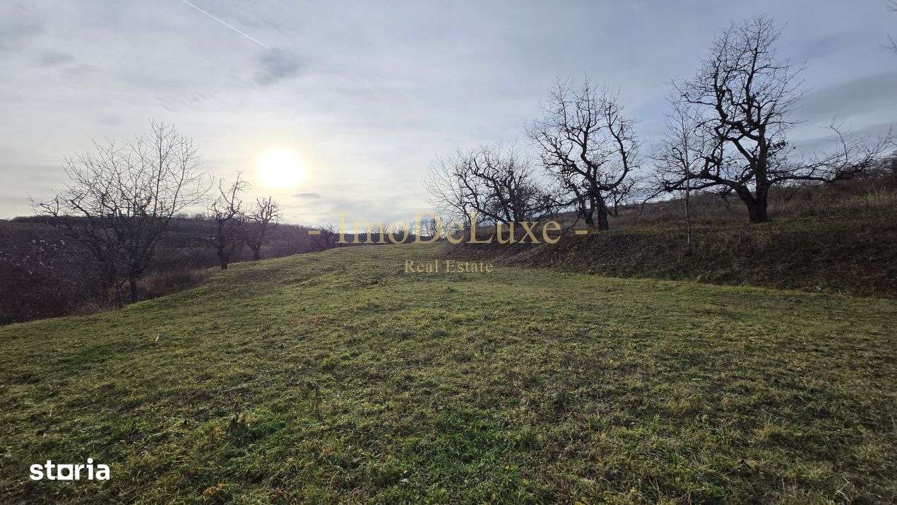 Teren extravilan langa lac, 8500mp, priveliste, zona comunei Baciu - Imagine principală: 5/10