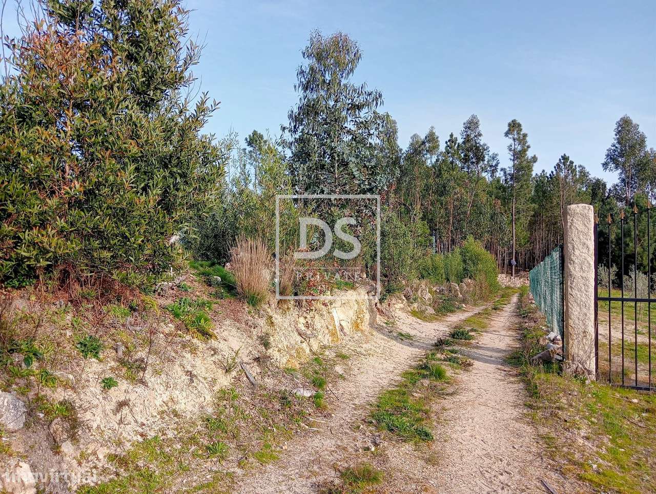 Fantástico Terreno em Paços de Gaiolo - Grande imagem: 3/16